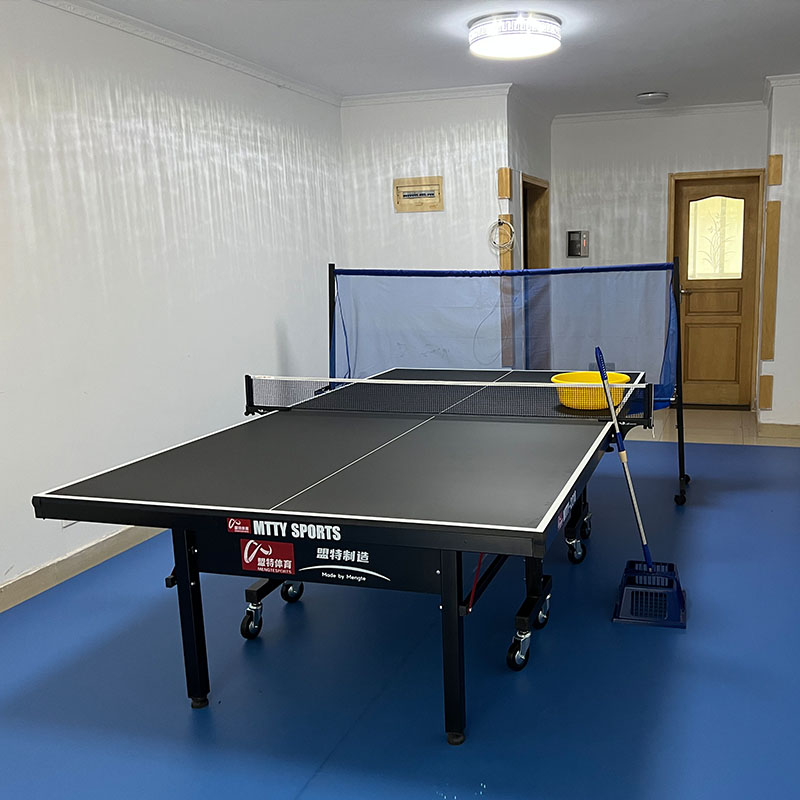 室内折叠乒乓球台T2560